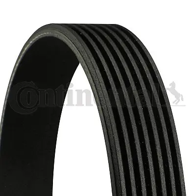 V-ribbed Belt